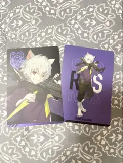 crazy raccoon CRチップス　Ras ステッカー
