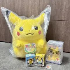 ポケモン30周年記念おかえり!ピカチュウ1/1 てのひらピカチュウ ぽけふわ