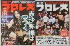 2026年最新】スターダム プロレス 岩谷の人気アイテム - メルカリ