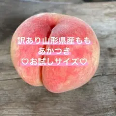 お試しサイズ(32)あかつき♡山形県産もも♡桃のサムネイル