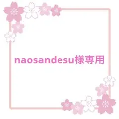 naosandesu様専用