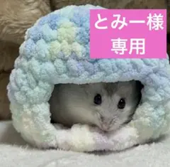 とみー様　専用です