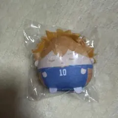 ハイキュー ぬいくじ くじメイト E賞 てのりんず 日向翔陽