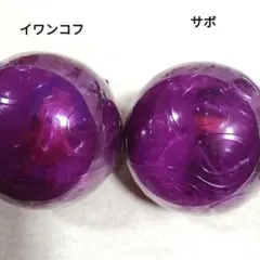 ワンピの実　サボ　イワンコフ