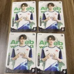 IJL カード ＡＷＧ Scorpin