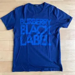 Item thumbnail for item 71a92ecf-7752-4752-adeb-9cf8ac84c0c4