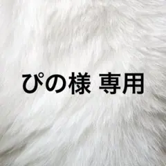 ぴの様 専用