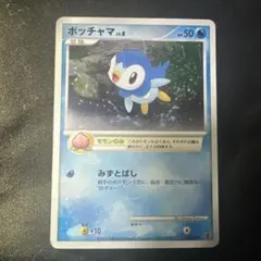 ポッチャマ P 第5期プレイヤーズけいけんち2000~2900EXPプレゼント…