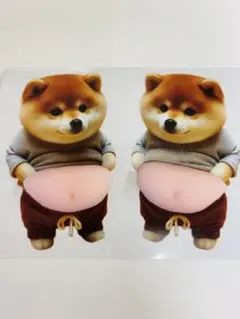 大人気 柴犬お腹ぷにぷにシール 2匹セット 超可愛い スクイーズ ストレス発散