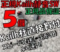 【正規】静音マウス用 Kailh製クリックスイッチ５ケ KAILH MUTE ①