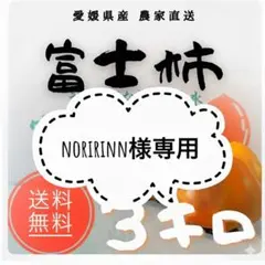 NORIRINN様専用