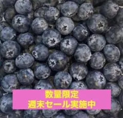 最高級採れた新鮮ブルーベリー 超希少秀品 当日発送 3点のみ特別価格