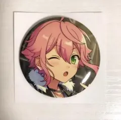 あんさんぶるスターズ あんスタ 缶バッジ 姫宮桃李 乙狩アドニス セット