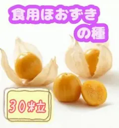 ワタ様 リクエスト 2点 まとめ商品