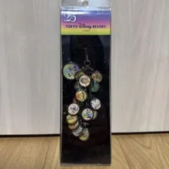 東京ディズニーリゾート 25周年記念キーホルダー