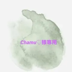 【Chamu♡様専用】