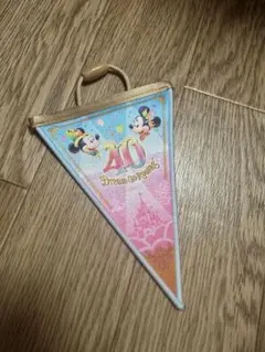 ディズニーランド　40周年　ガーランド　フラッグ