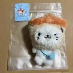 公式新品未開封wishdoll NCT WISH ユウシぬいぐるみ バブルニャン
