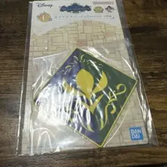 アナと雪の女王 アレンデール コースター