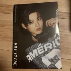 treasure LOVE PULSE 新品未開封　即購入⭕️ジュンギュ