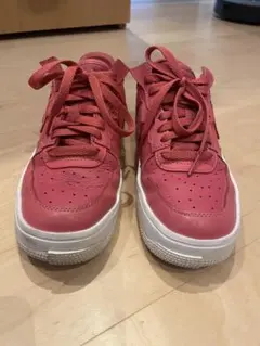 エア フォース 1 フォンタンカ　24.5