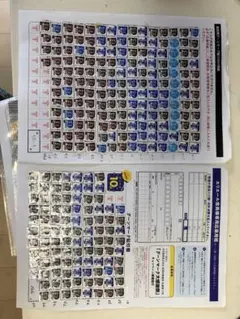 グーンマーク 867.5点 エリエールキャンペーン応募用紙付き