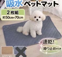 Item thumbnail for item a56f871e-2e17-42b2-ab93-0ae8acde3eed