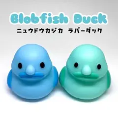 珍品 ブロブフィッシュ ニュウドウカジカ ラバーダック 2個セット②のサムネイル