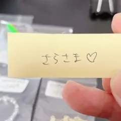 さら様専用　ソイネショップ