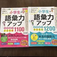 Item thumbnail for item 9065b688-8abb-4473-9b09-492d56bb7b2d