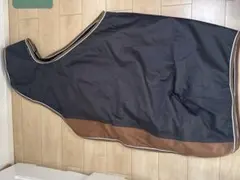 Item thumbnail for item ed497fbe-c1d4-4e63-909e-3a4a8a0c4243