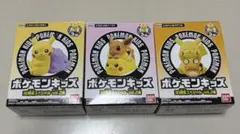 ポケモンキッズ 30周年スペシャル vol.2編