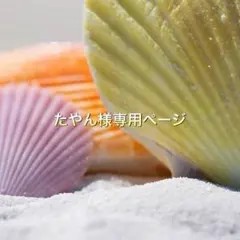 たやん☺︎様専用ページ