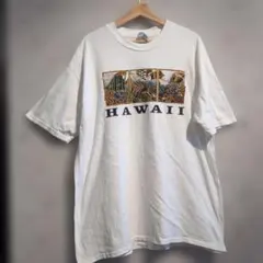 Hanes BEEFY HAWAII プリント Tシャツ XL