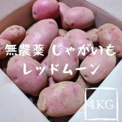 千葉県産 新じゃがいも レッドムーン 4kgのサムネイル