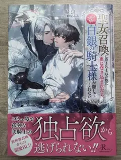 麗 誉アートワークス 非売品購入特典冊子付 - メルカリ