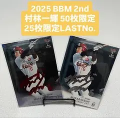 Item thumbnail for item fc13a67e-1e76-4787-b0fa-2fba6811b4f1