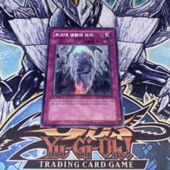 2026年最新】遊戯王 韓国 1stの人気アイテム - メルカリ