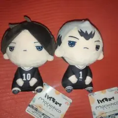 ハイキュー ぬいぐるみ 2種セット