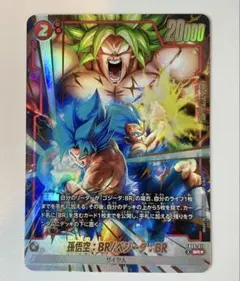 ドラゴンボールカード 孫悟空BRベジータBR FB09-011 SRパラレル