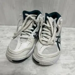 Item thumbnail for item d93e8192-55b4-421d-af5d-5d8c06f46425