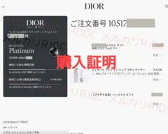 【新品未使用】DIOR 正規品 購入証明有★ゴールド ロゴ ネックレス チャーム