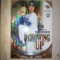 Item thumbnail for item 6b41a4b2-e6c1-48b7-8cb4-bb92064e4d77