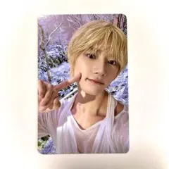 txt トゥバ　ボムギュ　トレカ　SANCTUARY サンクチュアリ