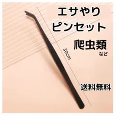 〇エサやりピンセット メンテナンス用 掴みやすい ステンレス製のサムネイル