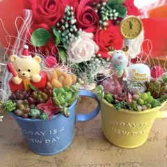 2個セット♡多肉植物寄せ植え♡そのまま飾れる♡