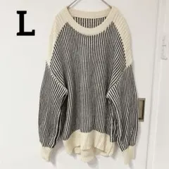 古着✨ストライプ柄 ニット【L】セーター クルーネック 長袖 白黒　細見え