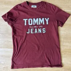 TOMMY JEANS メンズTシャツ M