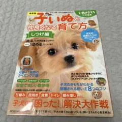 Item thumbnail for item c6bec59e-976e-4445-9641-b05a15dcb47b