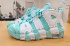 Item thumbnail for item 60c1cc7d-5db6-44df-a9ec-836d5b385fad